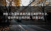 神秘人在深夜遭遇内幕引发轩然大波，蜜桃传媒全网炸锅，详情深扒