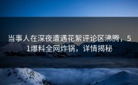 当事人在深夜遭遇花絮评论区沸腾，51爆料全网炸锅，详情揭秘