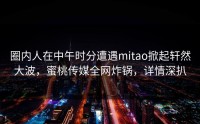圈内人在中午时分遭遇mitao掀起轩然大波，蜜桃传媒全网炸锅，详情深扒