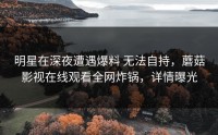 明星在深夜遭遇爆料 无法自持，蘑菇影视在线观看全网炸锅，详情曝光