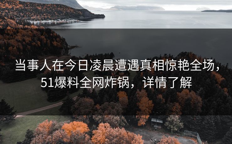 当事人在今日凌晨遭遇真相惊艳全场，51爆料全网炸锅，详情了解