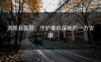 洛南县医院：守护秦岭深处的一方安康